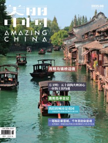 美丽中国期刊